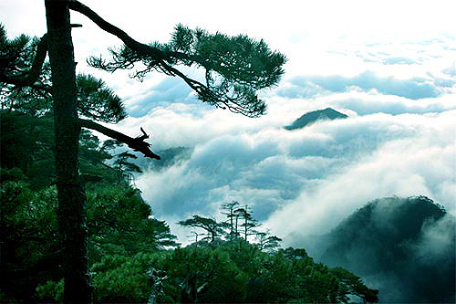 三清山出现瀑布云景观