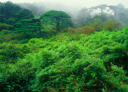 三清山