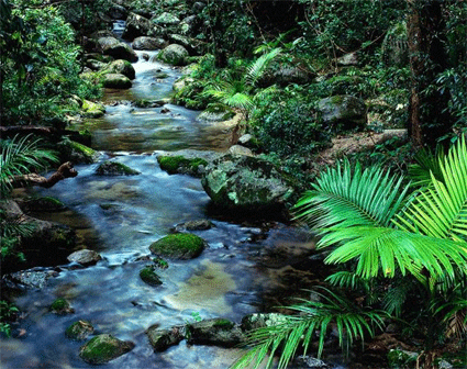 三清山