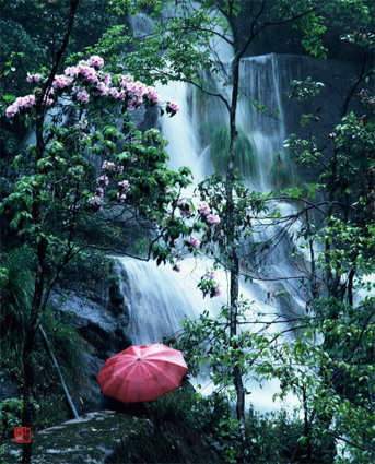 夏天去三清山避暑你准备好了吗?