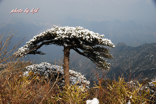 三清山旅游攻略图片