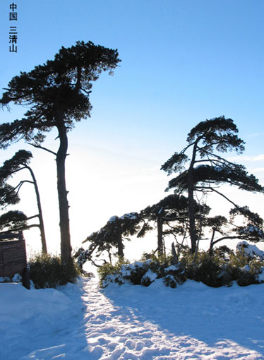 三清山邀您赏冬景