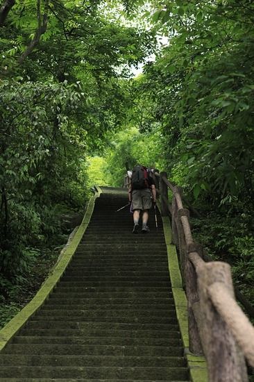 春天 去峨眉山的八个理由