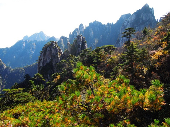 追寻秋日多彩三清山