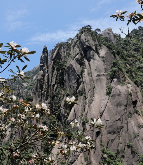 三清山：云端听花开