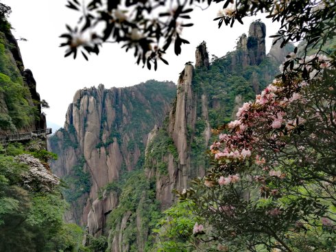 三清山：云端听花开