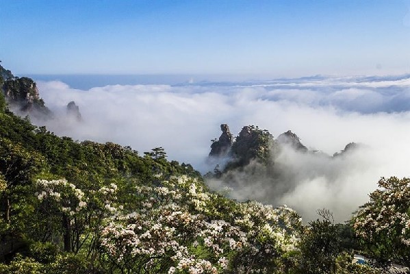 三清山：在云端中漫步，静听花开之声！