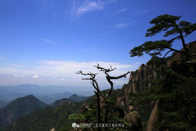 三清山：云端听花开，林中看“飞侠”