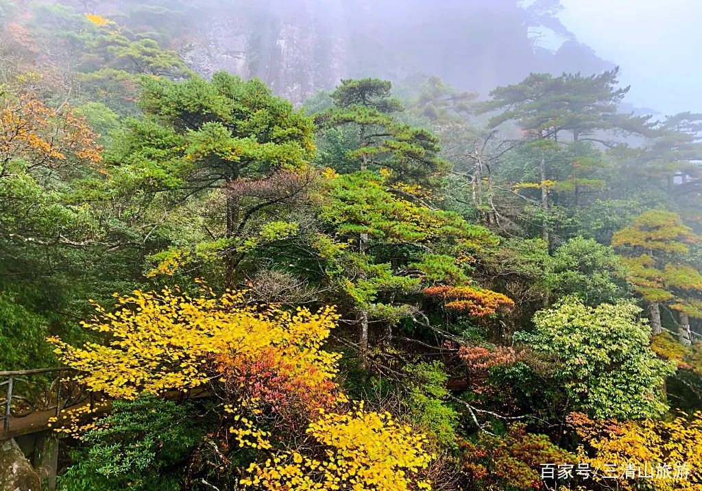 三清山最佳旅游季节图片