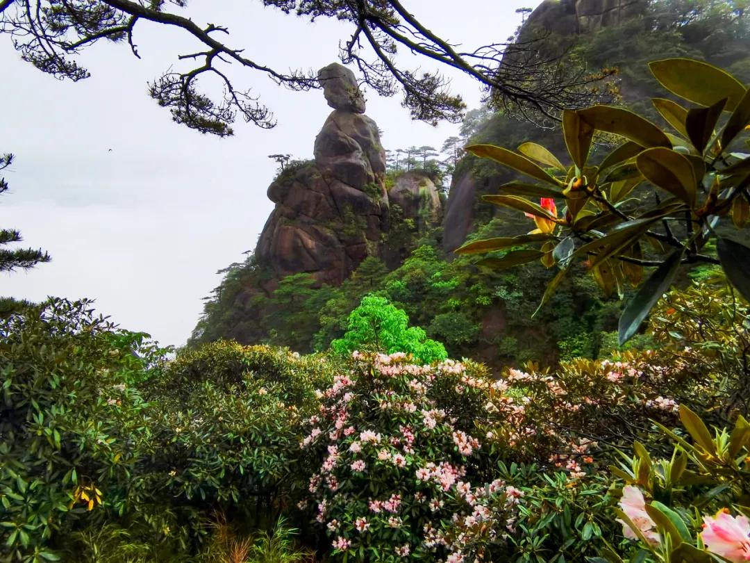 三清山旅游攻略 - 知乎