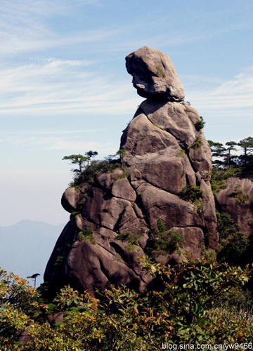 新浪旅游配图：三清山奇石 摄影：在路上