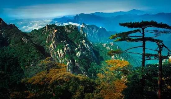 一叶知秋 去三清山做追"枫"少年