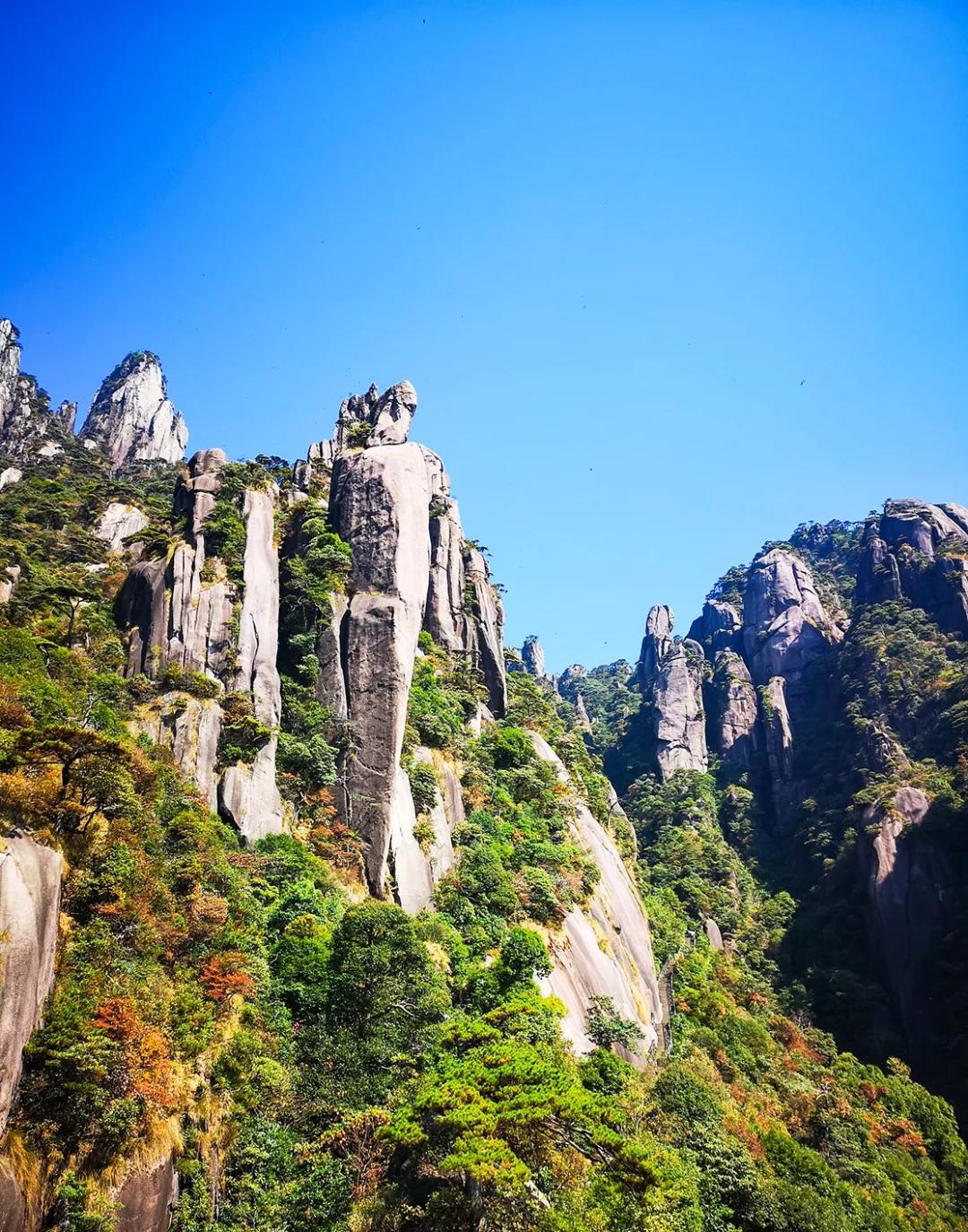 它是江西最美的一座山，风景如画|三清山|江西|奇松_新浪新闻