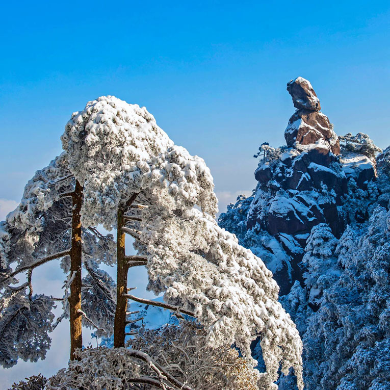 今日大雪，分享三清山雪景逼人的照片