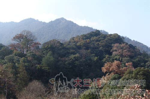 三清山植物的生态园