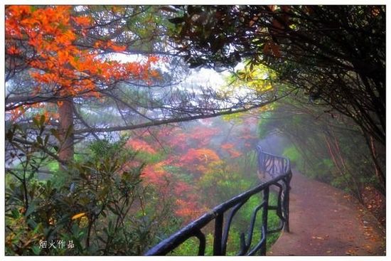 舌尖上的三清山——你不能错过的美景佳味