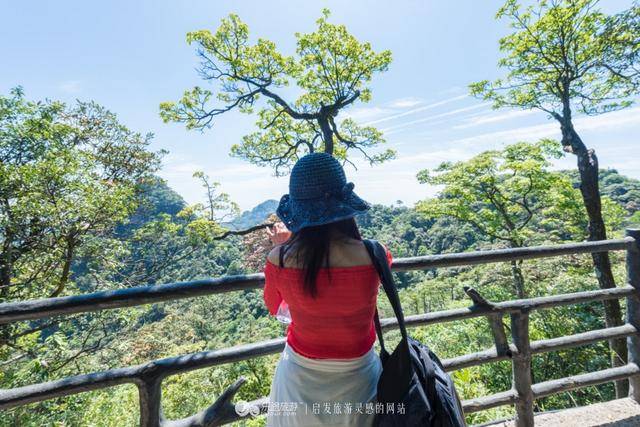 三清山独有高空栈道，三千多米无一台阶