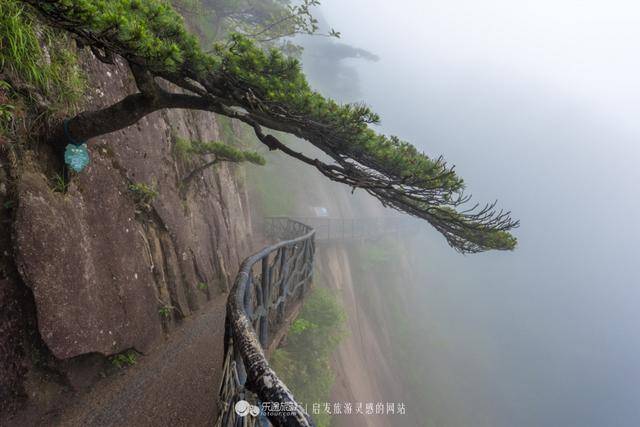 三清山独有高空栈道，三千多米无一台阶