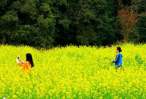 婺源最佳旅游时间是什么时候？